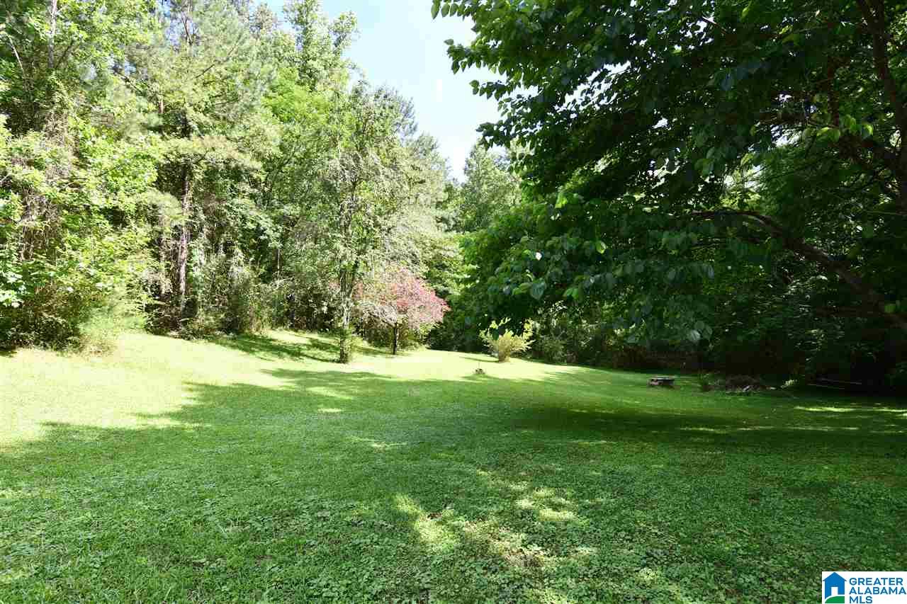 13468 Rabbit Town Road Fruithurst, AL 36262 - Photo 2 of 21