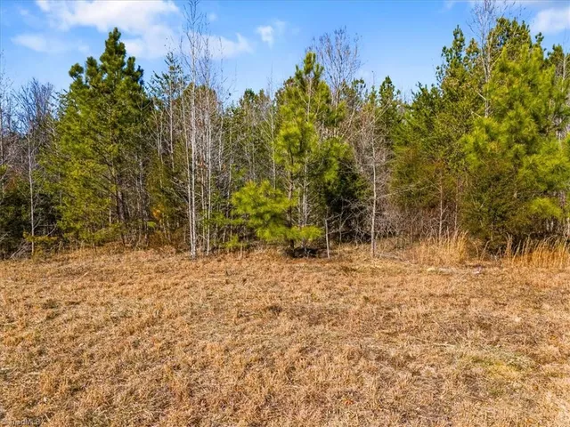 $299,900 | 0 Burgess Cattle Drive, Siler City, NC 27344