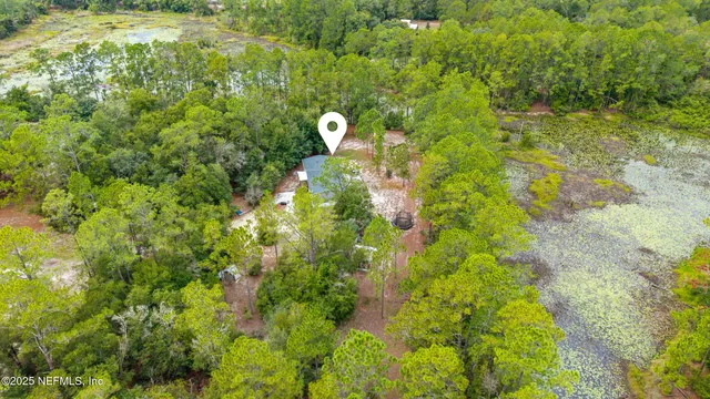 a view of a garden with plants