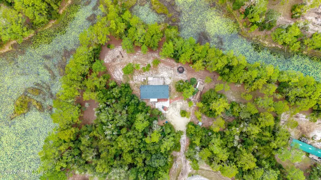 a view of a plant with lots of bushes