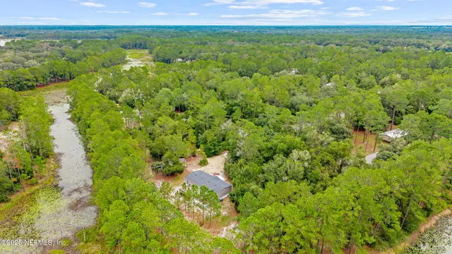 a view of a yard with flower plants