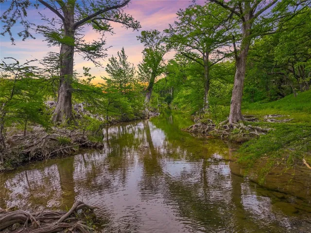 a view of a lake with a tree