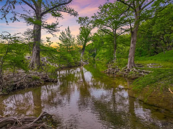 a view of a lake with a tree