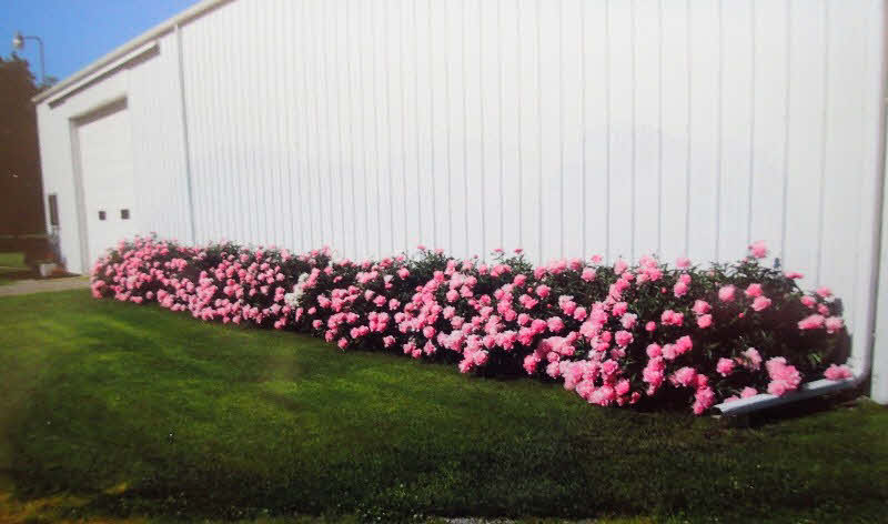 1717 East Beaver Road Kawkawlin, MI 48631 - Photo 25 of 32 Gallery Image 25