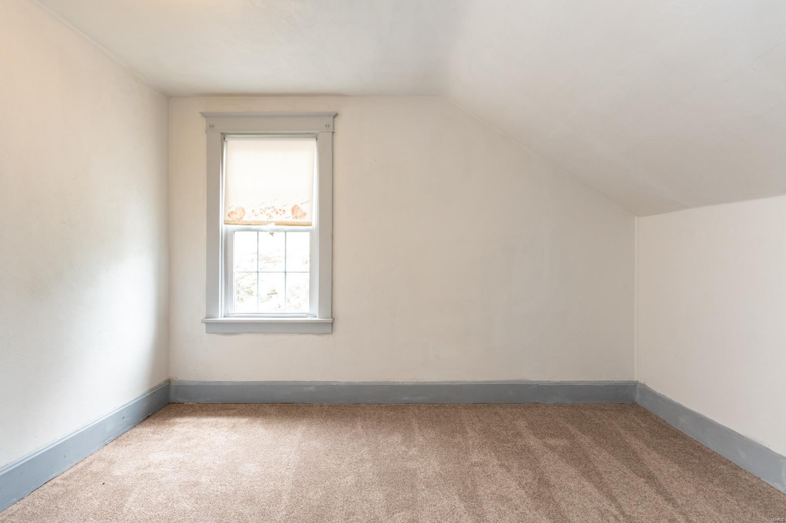 815 South Rapp Avenue Columbia, IL 62236 - Photo 20 of 36 Gallery Image 20