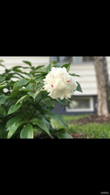 815 South Rapp Avenue Columbia, IL 62236 - Photo 32 of 36 Gallery Image 32