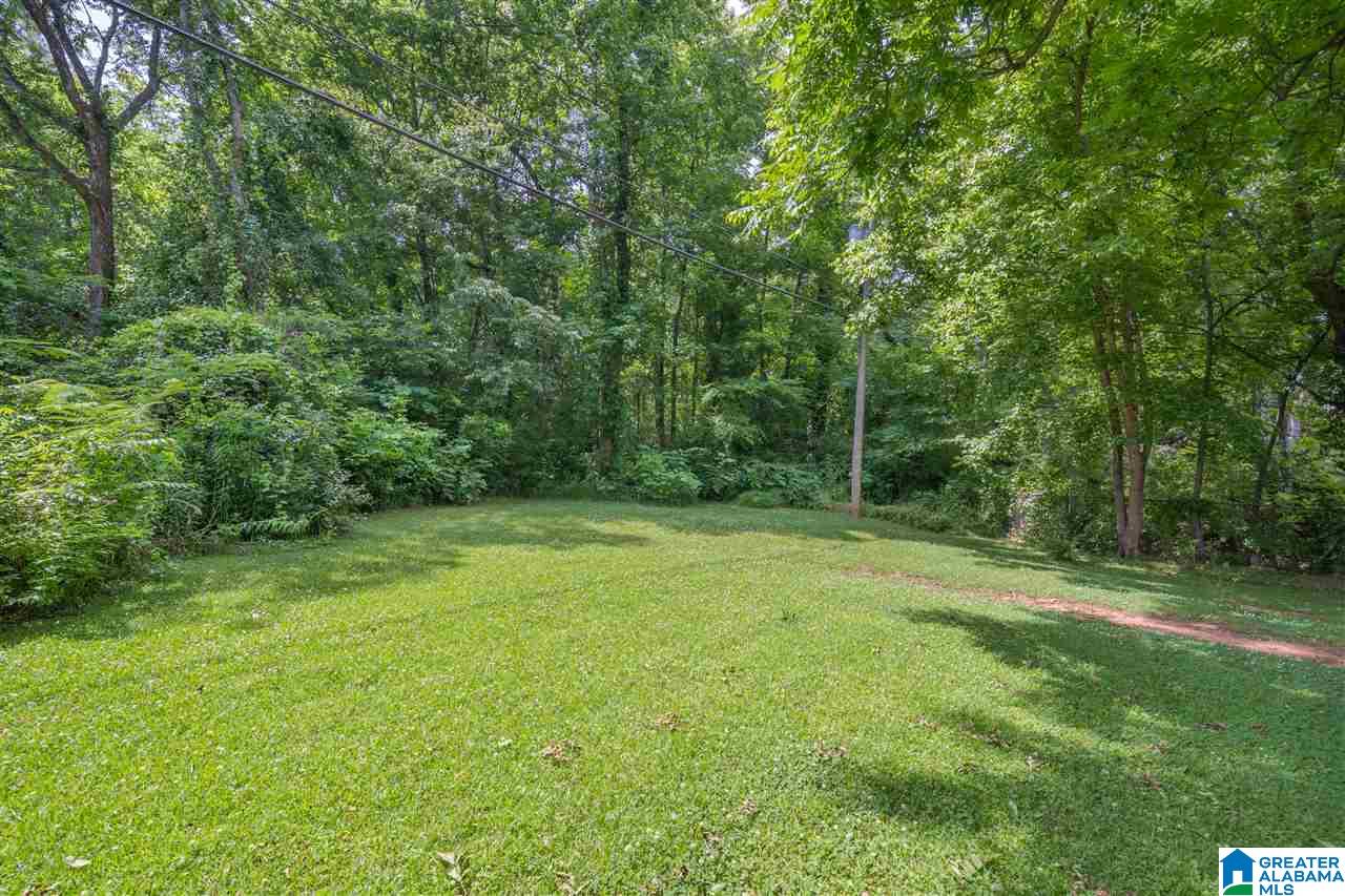 100 Edgeview Avenue Birmingham, AL 35209 - Photo 6 of 17