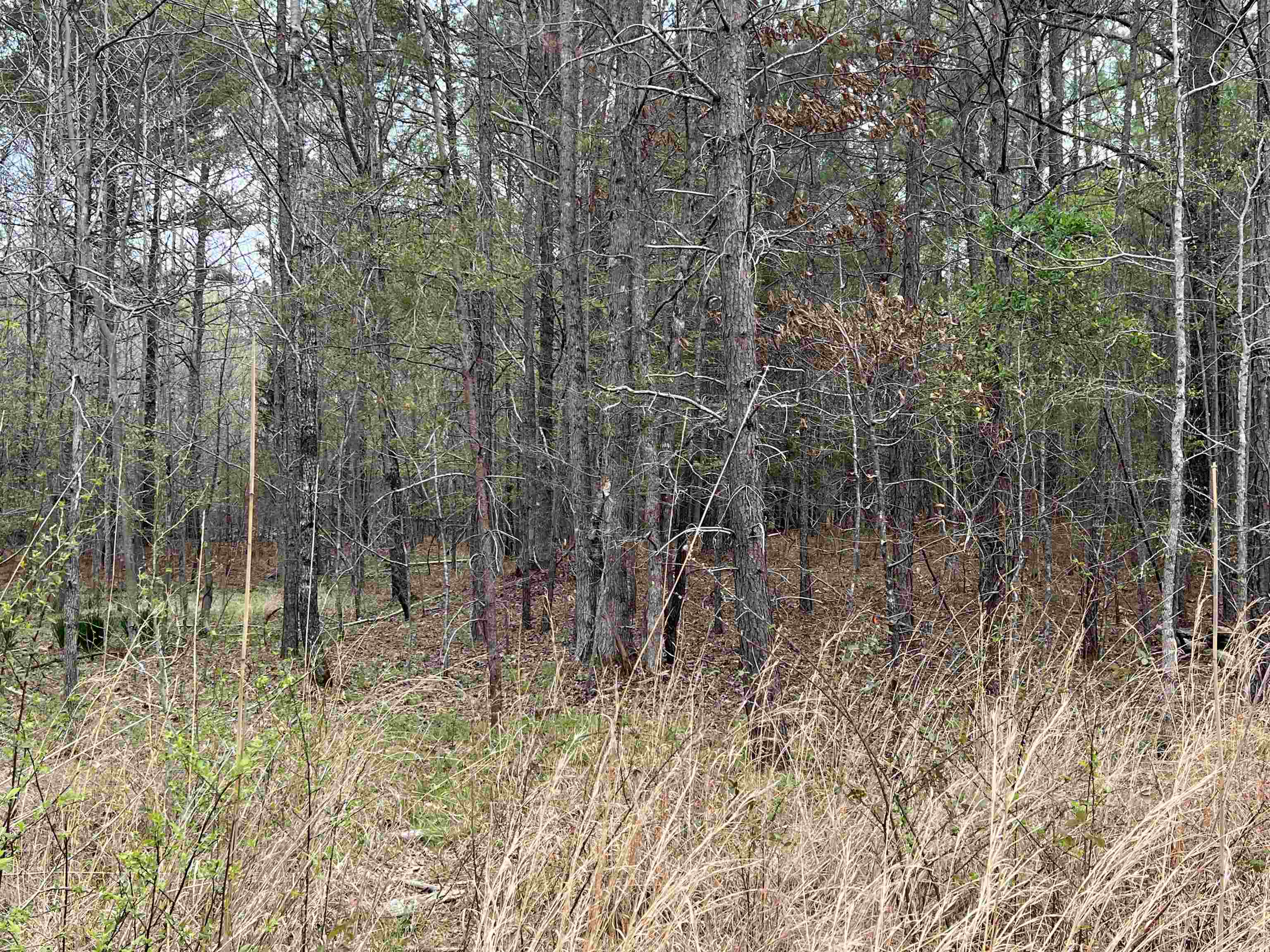 1144 Emmons Road Selmer, TN 38375 - Photo 1 of 5 Gallery Image 1