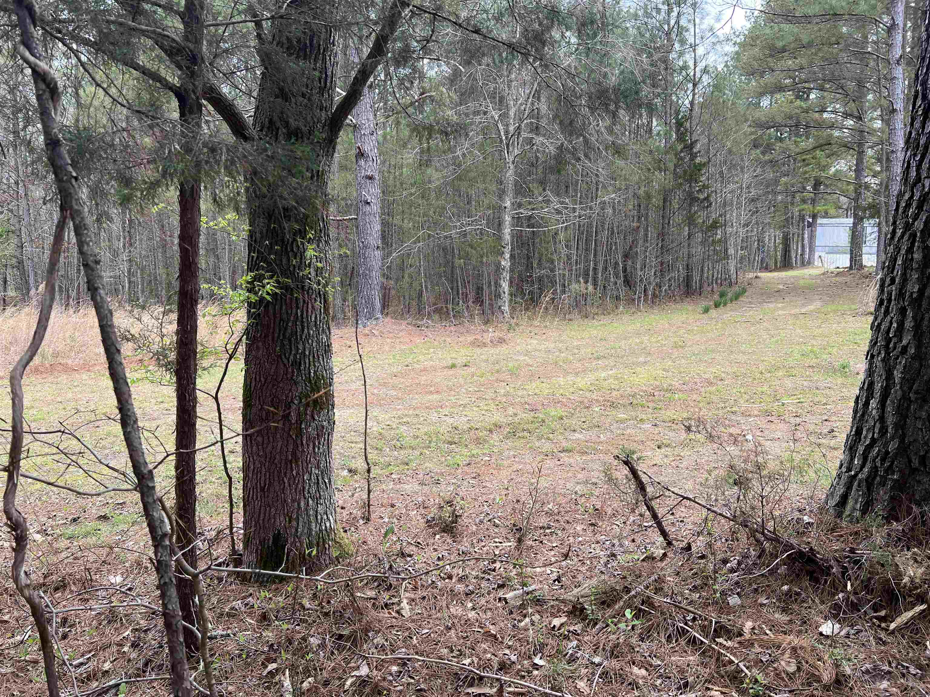 1144 Emmons Road Selmer, TN 38375 - Photo 3 of 5 Gallery Image 3