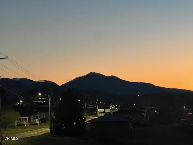 709 North Main Avenue, Unit 4 Erwin, TN 37650 - Photo 19 of 23 IMG_3793