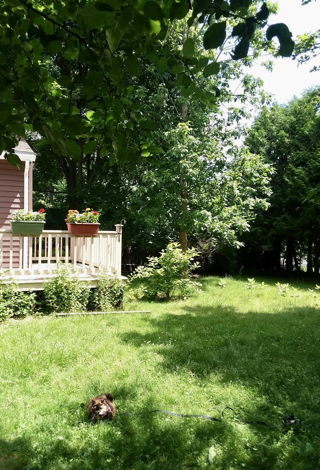 2 Stratford Road Plattsburgh, NY 12901 - Photo 27 of 31 Gallery Image 27
