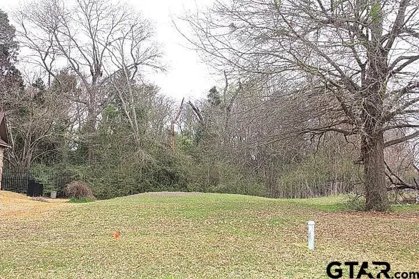 a view of a yard with large trees