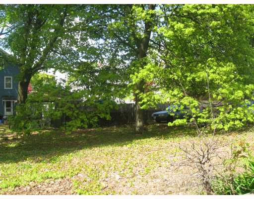 Yard/Garden.
