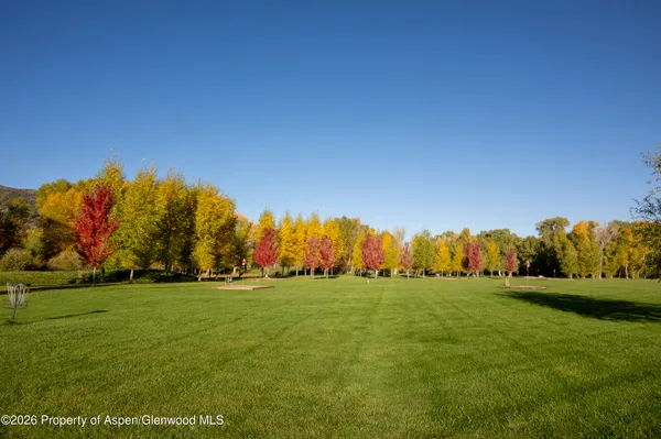 a view of grassy field