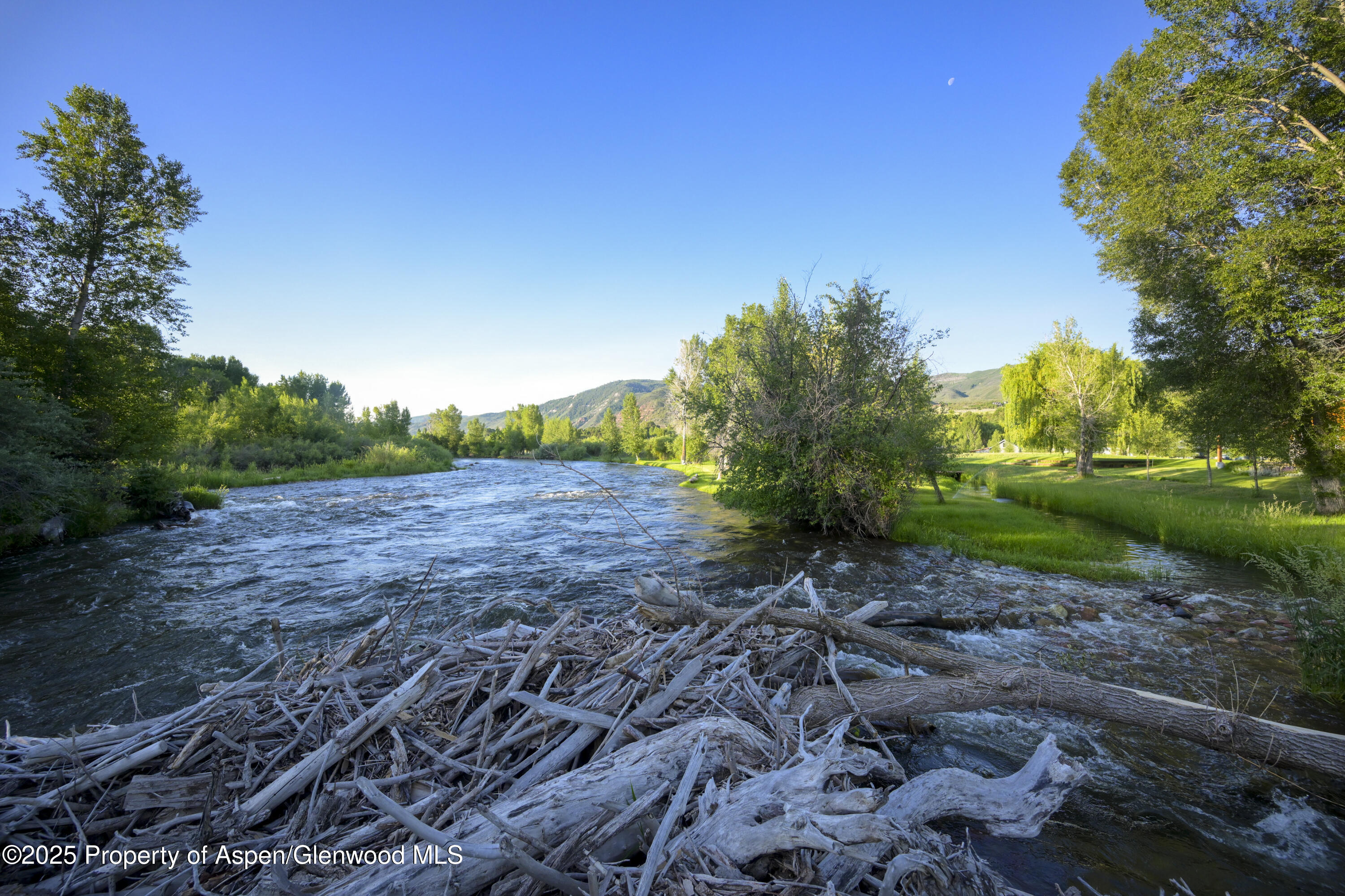 1207 Hooks Spur Road Basalt, CO 81621 - Photo 26 of 35 13-River Hooks-Spur-2843
