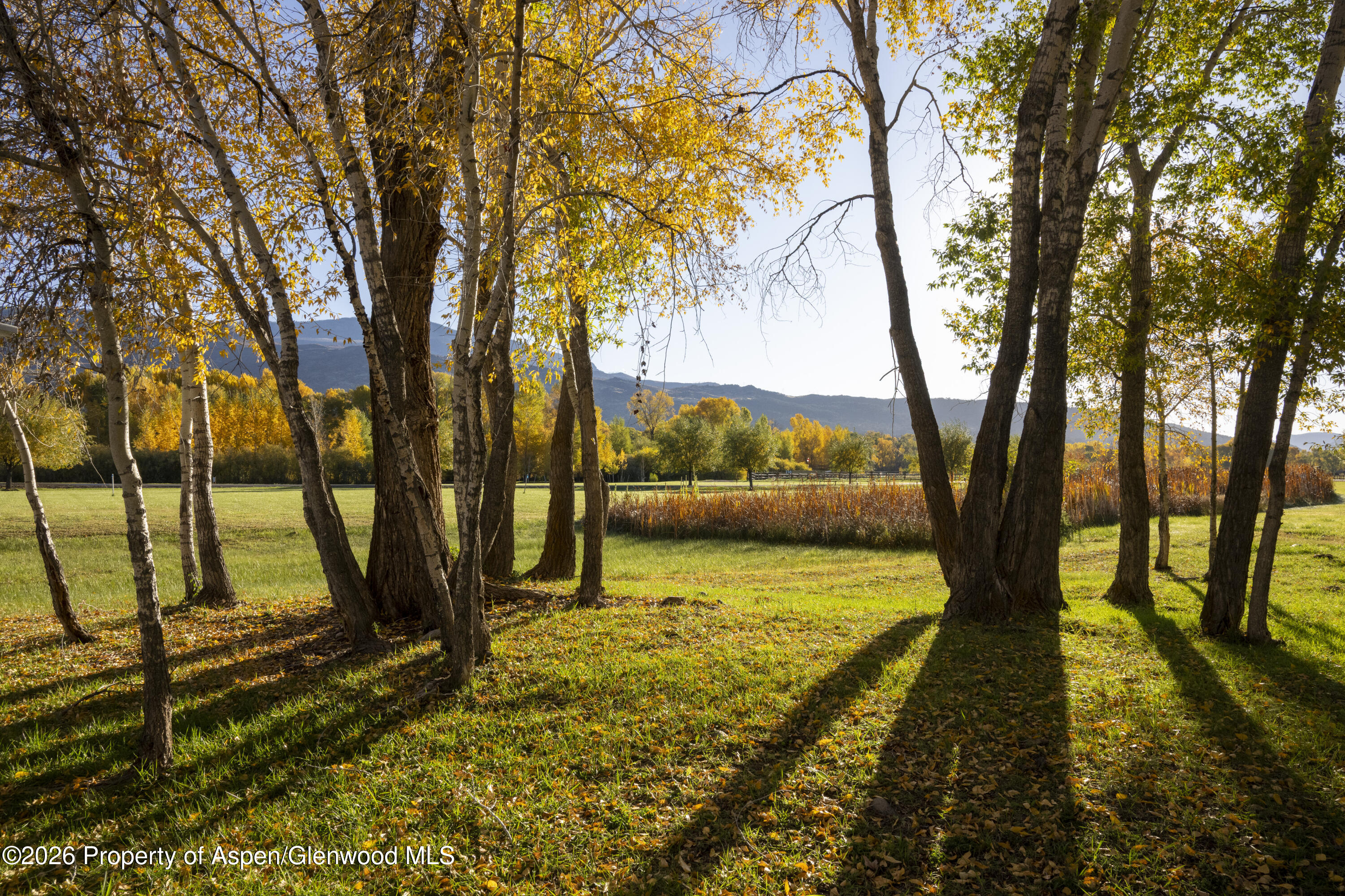 1207 Hooks Spur Road Basalt, CO 81621 - Photo 33 of 35 June-Bug-Autumn-8465