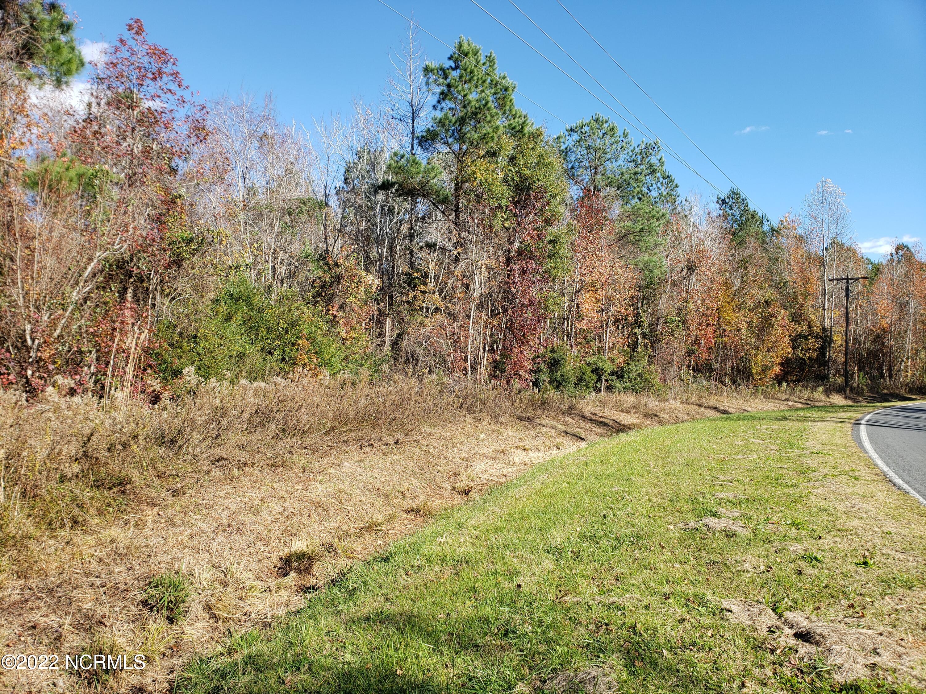 1 Trent Road Merritt, NC 28556 - Photo 1 of 5 Road Front