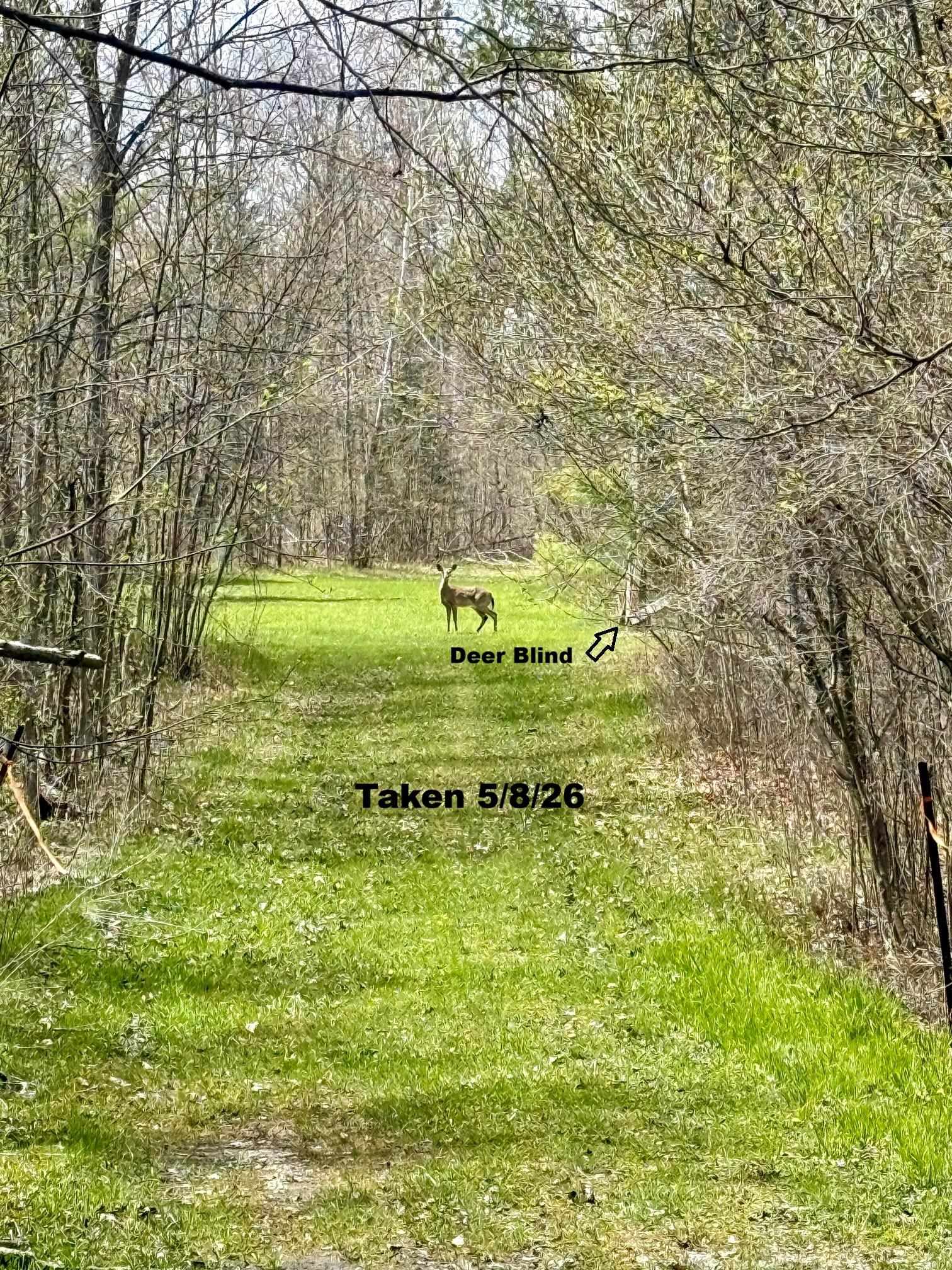4921 East County Line Road Hale, MI 48739 - Photo 20 of 30