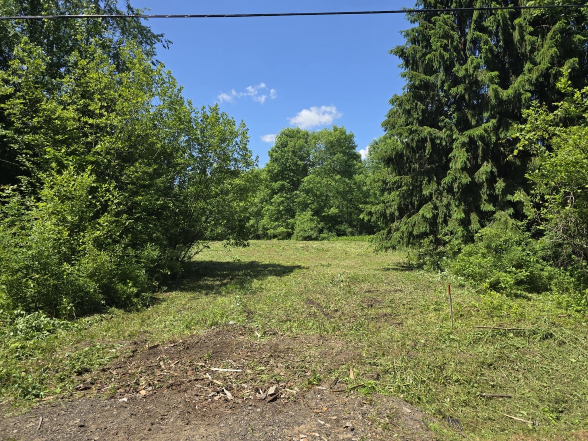 0 Broad Road Brushton, NY 12916 - Photo 3 of 9 a