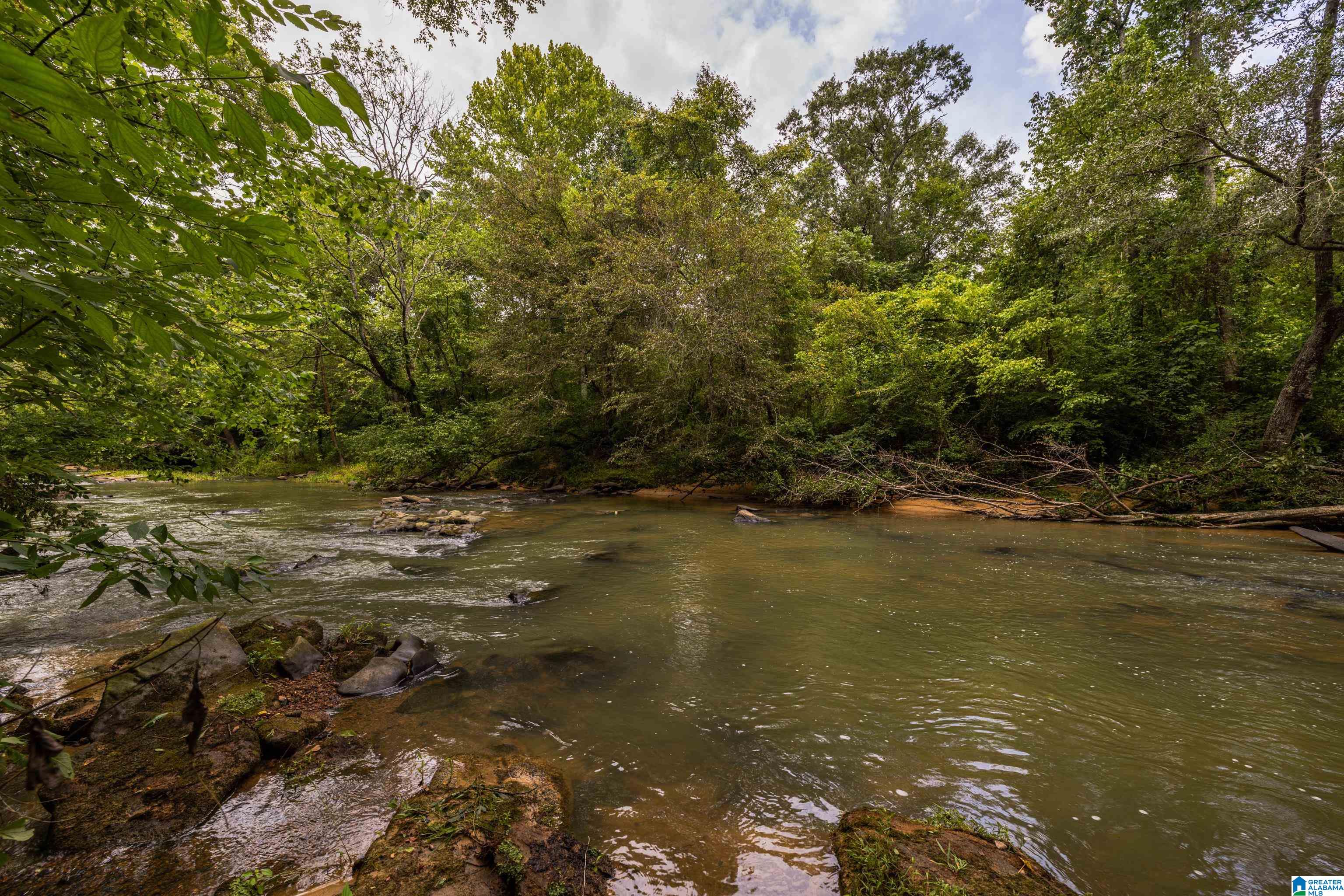 1218 Ebell Road Oneonta, AL 35121 - Photo 36 of 53