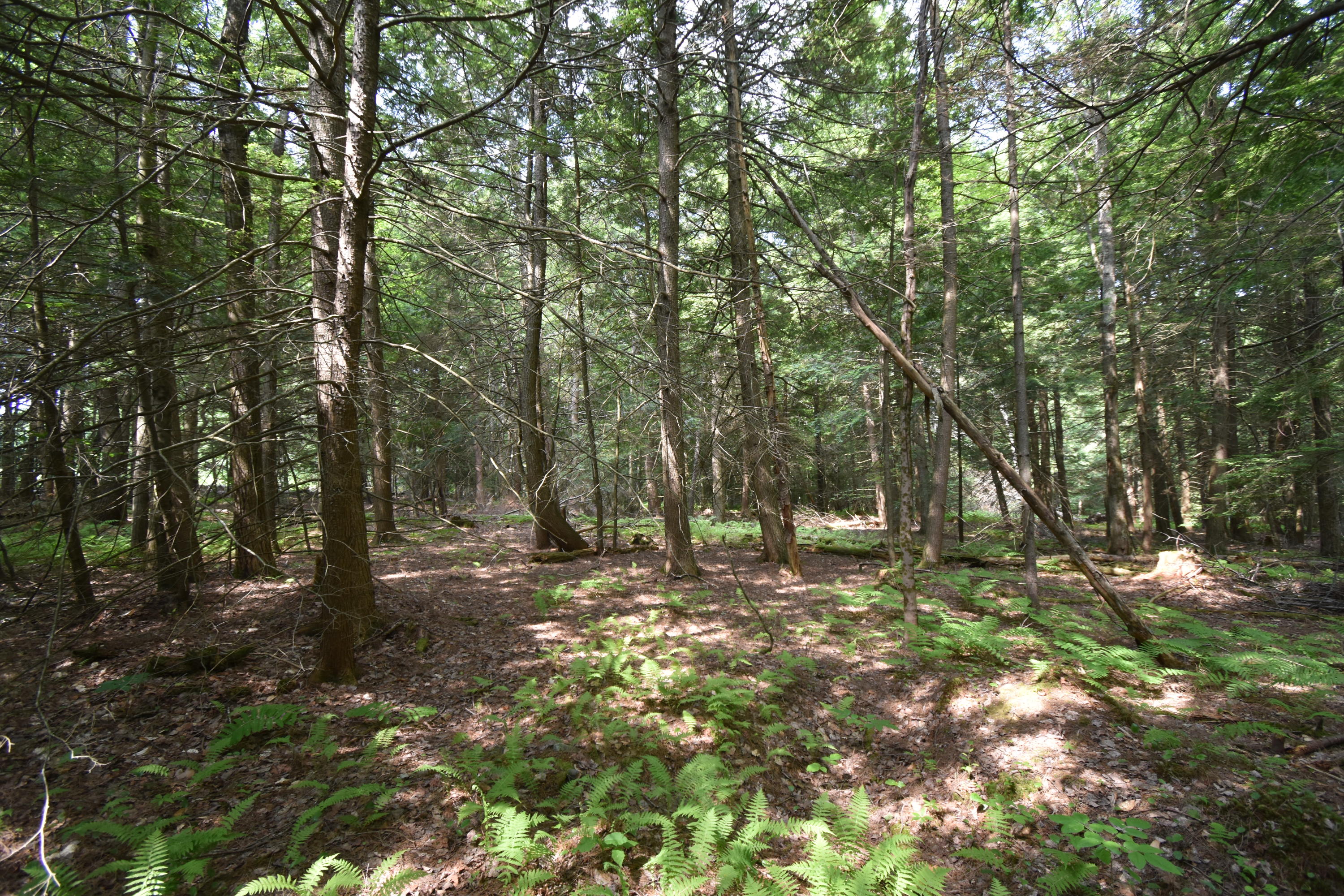 0 Rodrigue Lane Readfield, ME 04355 - Photo 32 of 51 DSC_0539