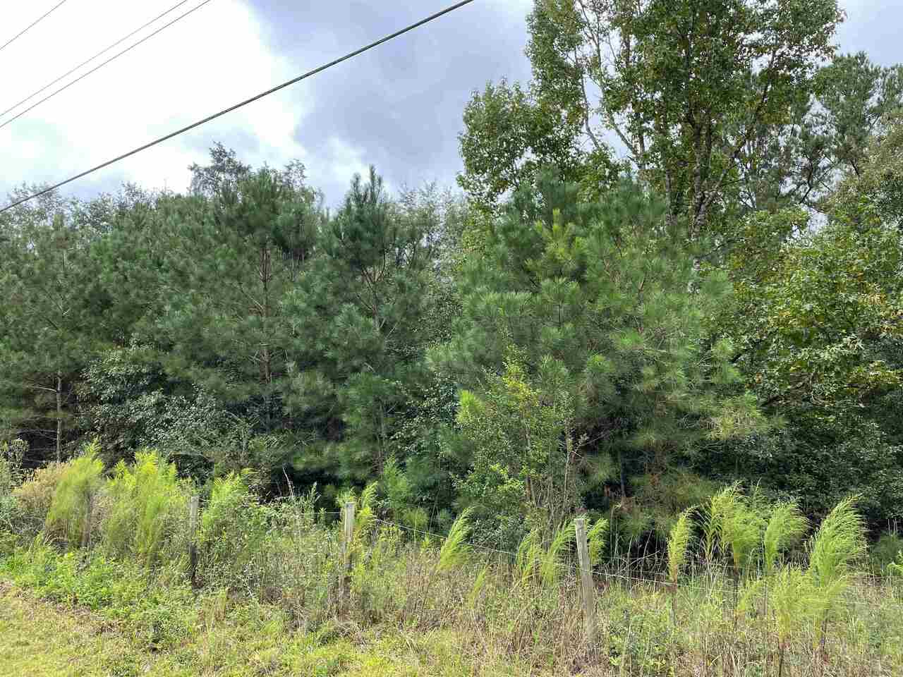 0 West Hemphill Road Stockbridge, GA 30281 - Photo 1 of 1 Gallery Image 1