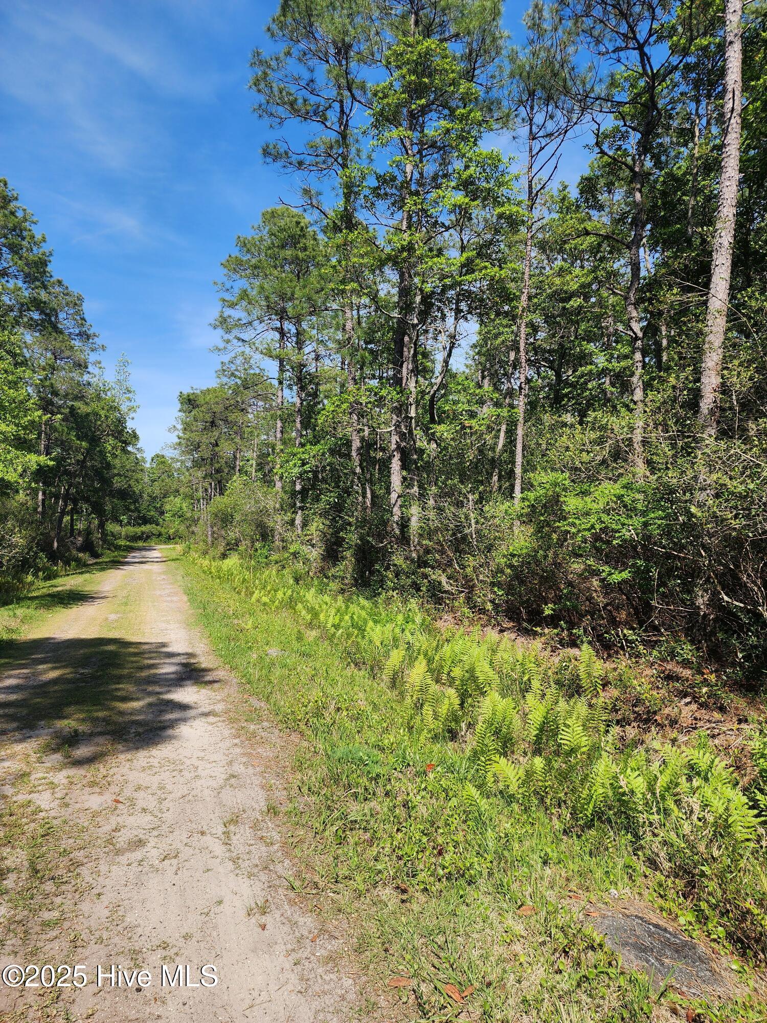 Lot 60 Drake Road Southport, NC 28461 - Photo 3 of 3 Lot Photo