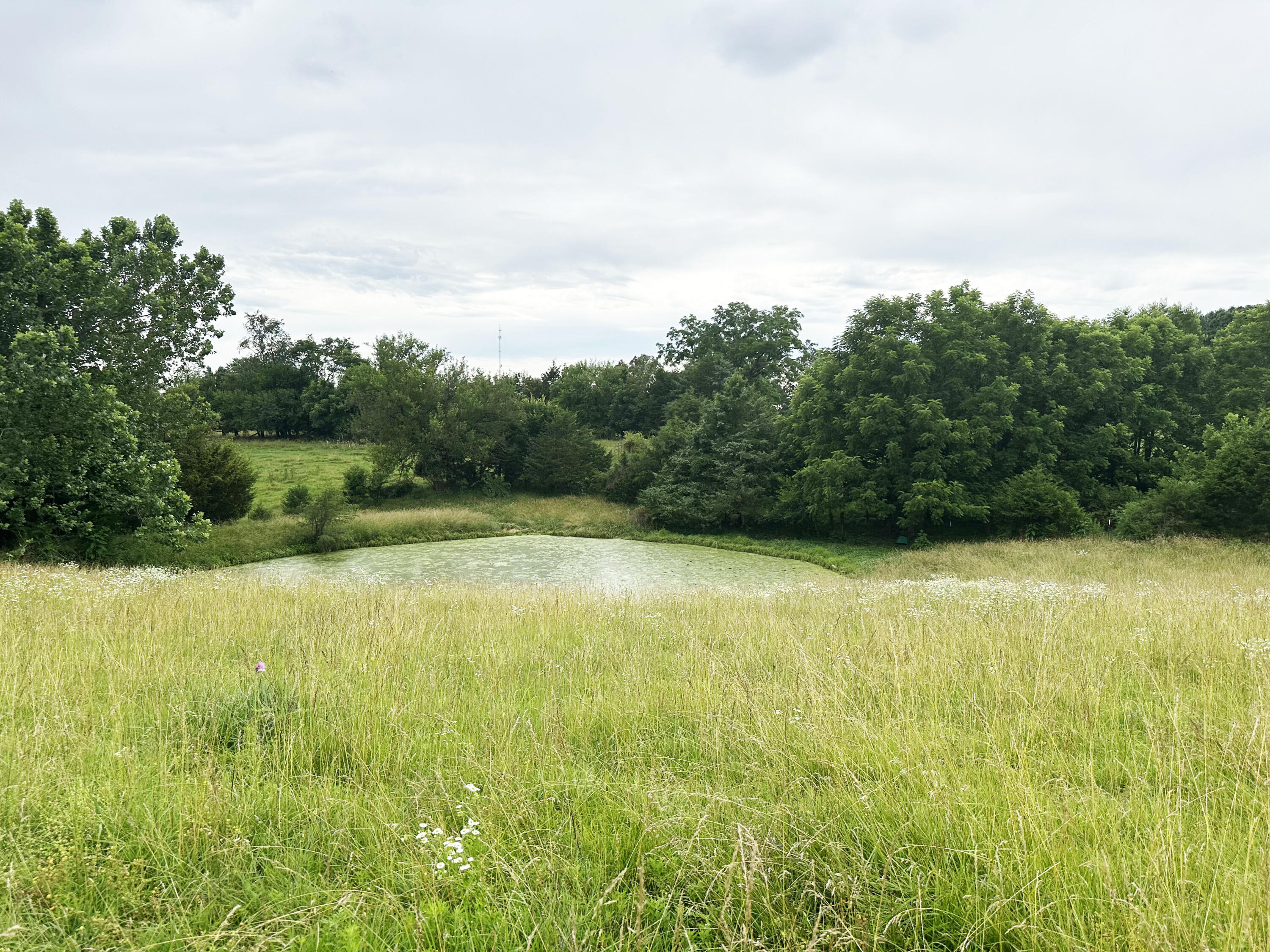 73 Gamble Road Billings, MO 65610 - Photo 2 of 31 IMG_4351-a