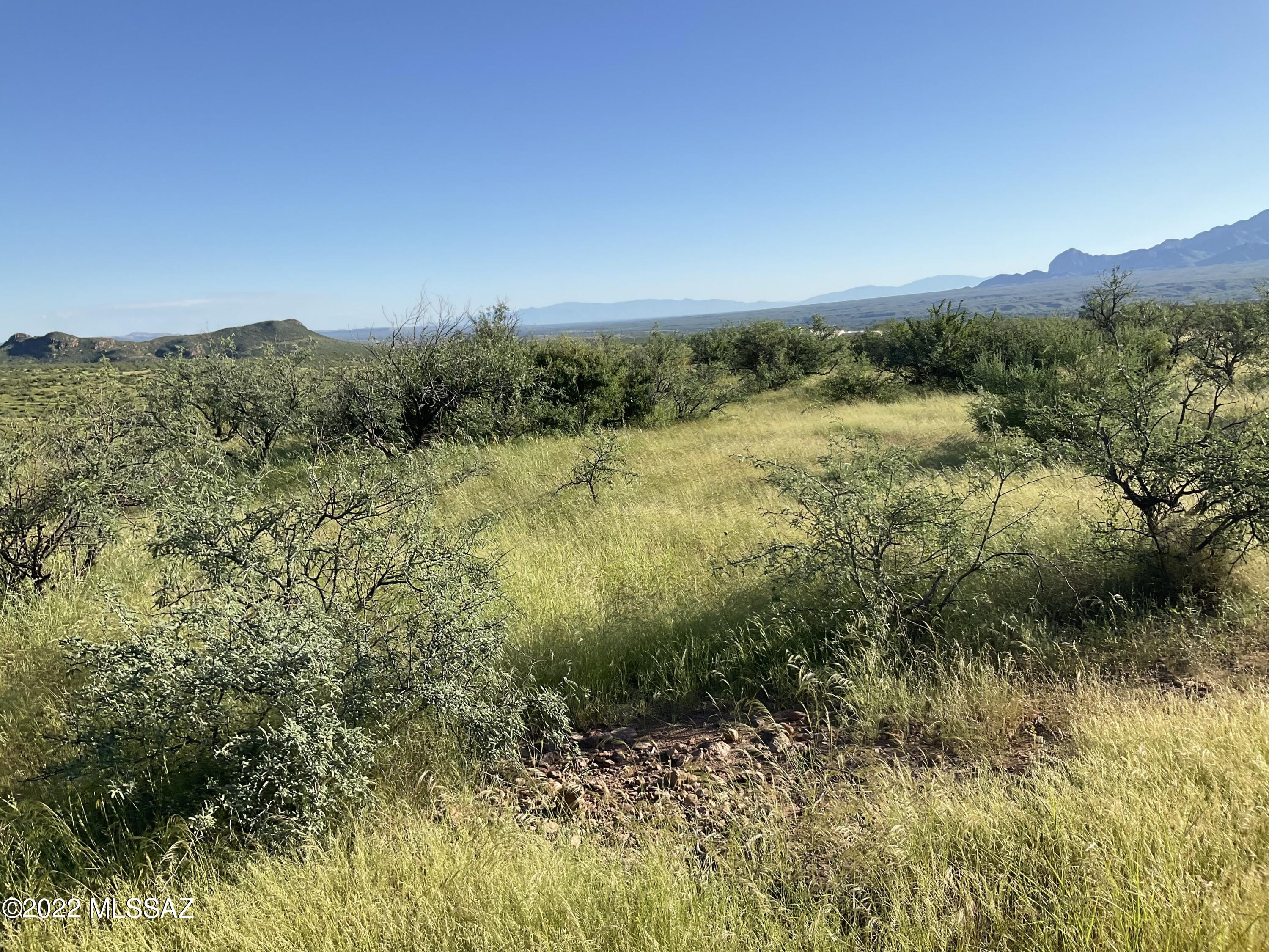 Tbd Aliso Springs Road Tubac, AZ 85646 - Photo 15 of 15