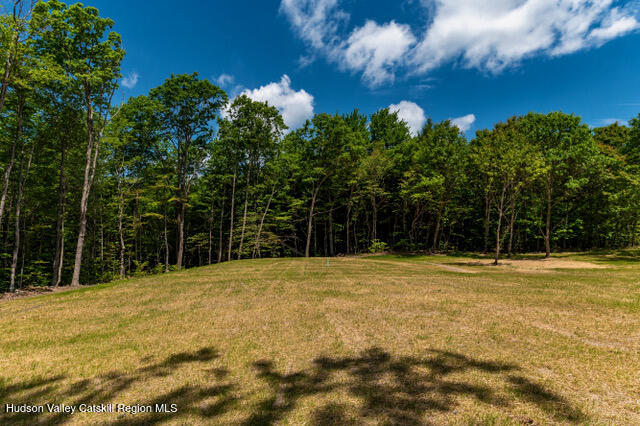 200 Donlan Heights Road Middleburgh, NY 12122 - Photo 11 of 32 Unknown