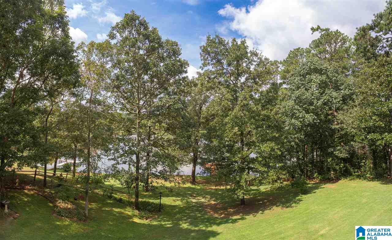 59 Lakeview Drive Oneonta, AL 35121 - Photo 29 of 49