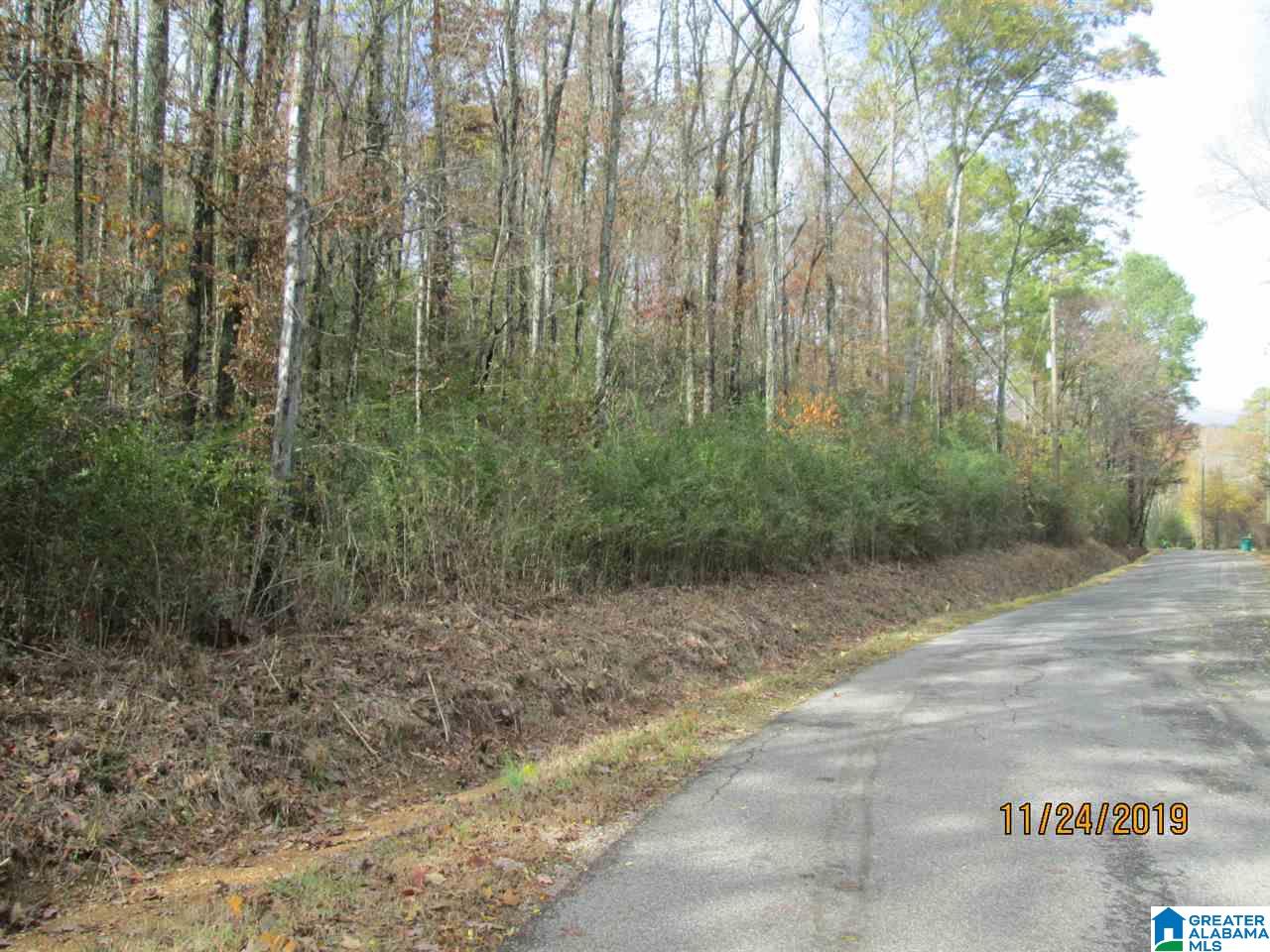 0 Cross Street, Unit 2 80 ACRES Springville, AL 35146 - Photo 5 of 8