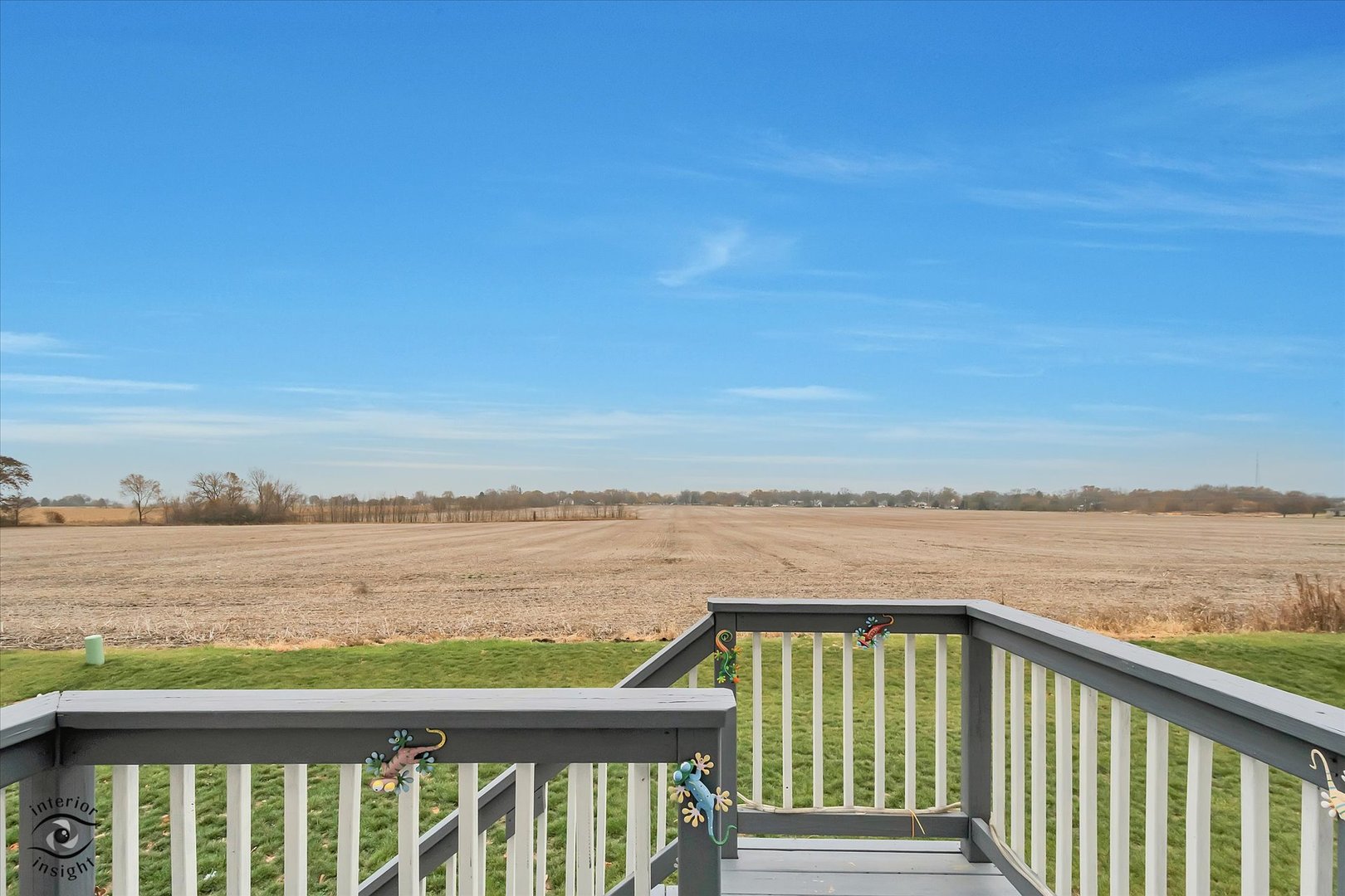 15101 Quincy Way Manhattan, IL 60442 - Photo 4 of 28 a balcony with an ocean view