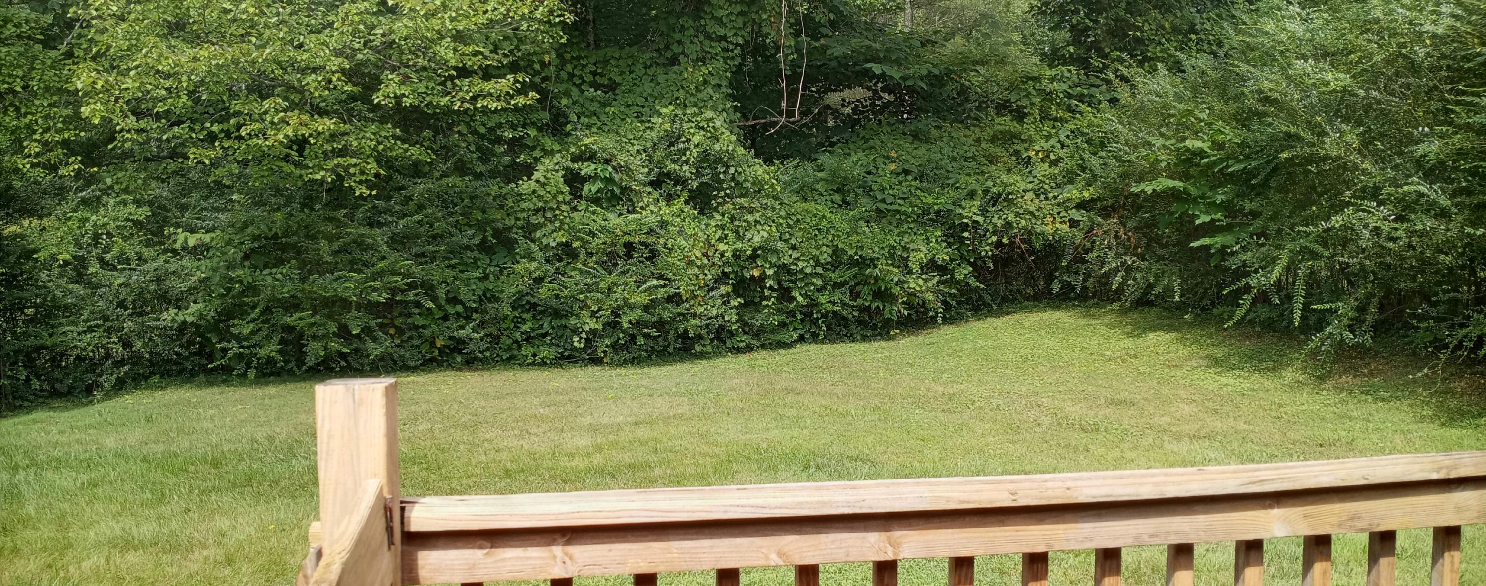 312 Fairview Road Middlesboro, KY 40965 - Photo 3 of 14 20210815_124958