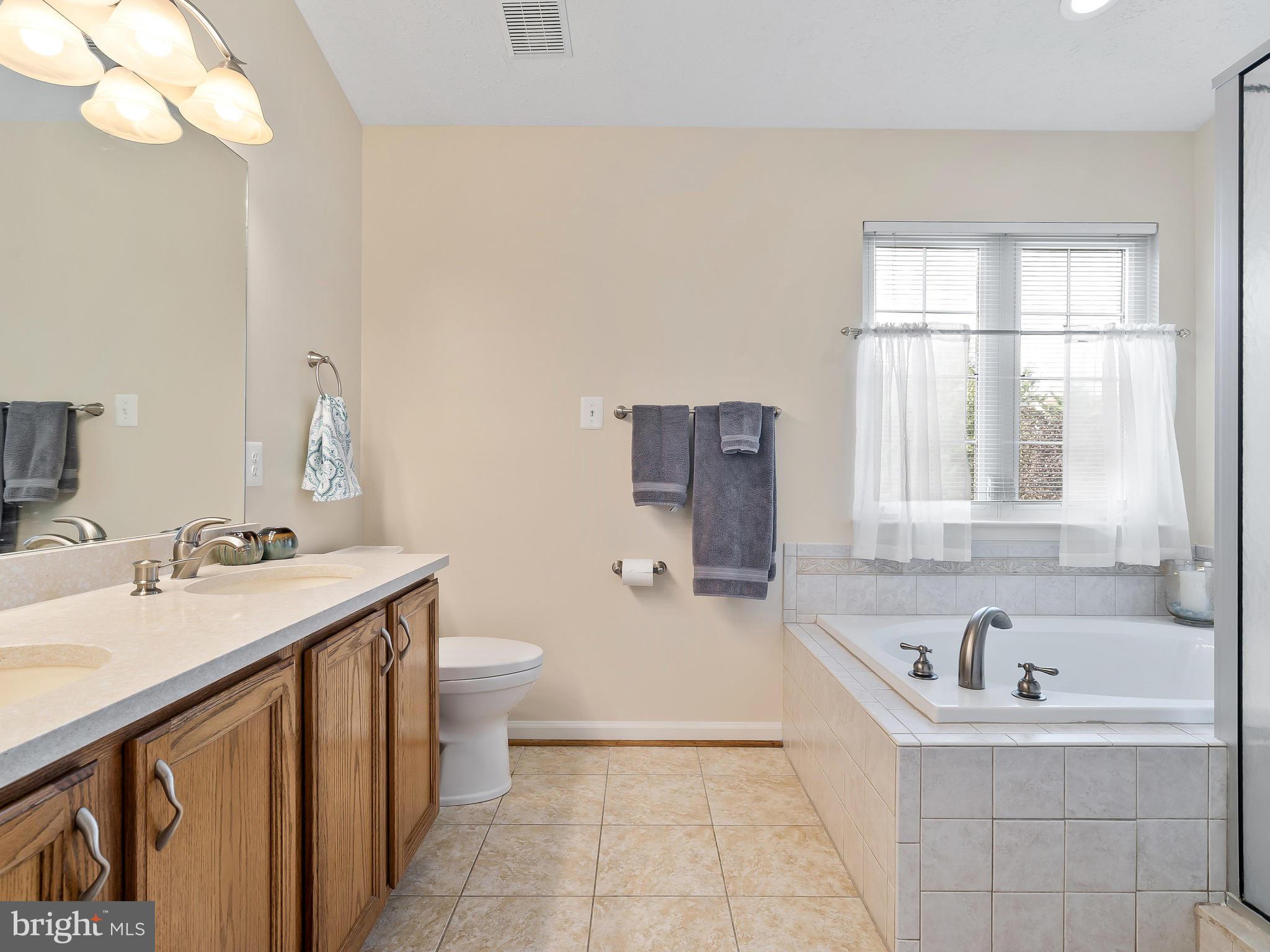 4820 Old Holter Road Jefferson, MD 21755 - Photo 22 of 34 Double Vanity & upgraded lighting