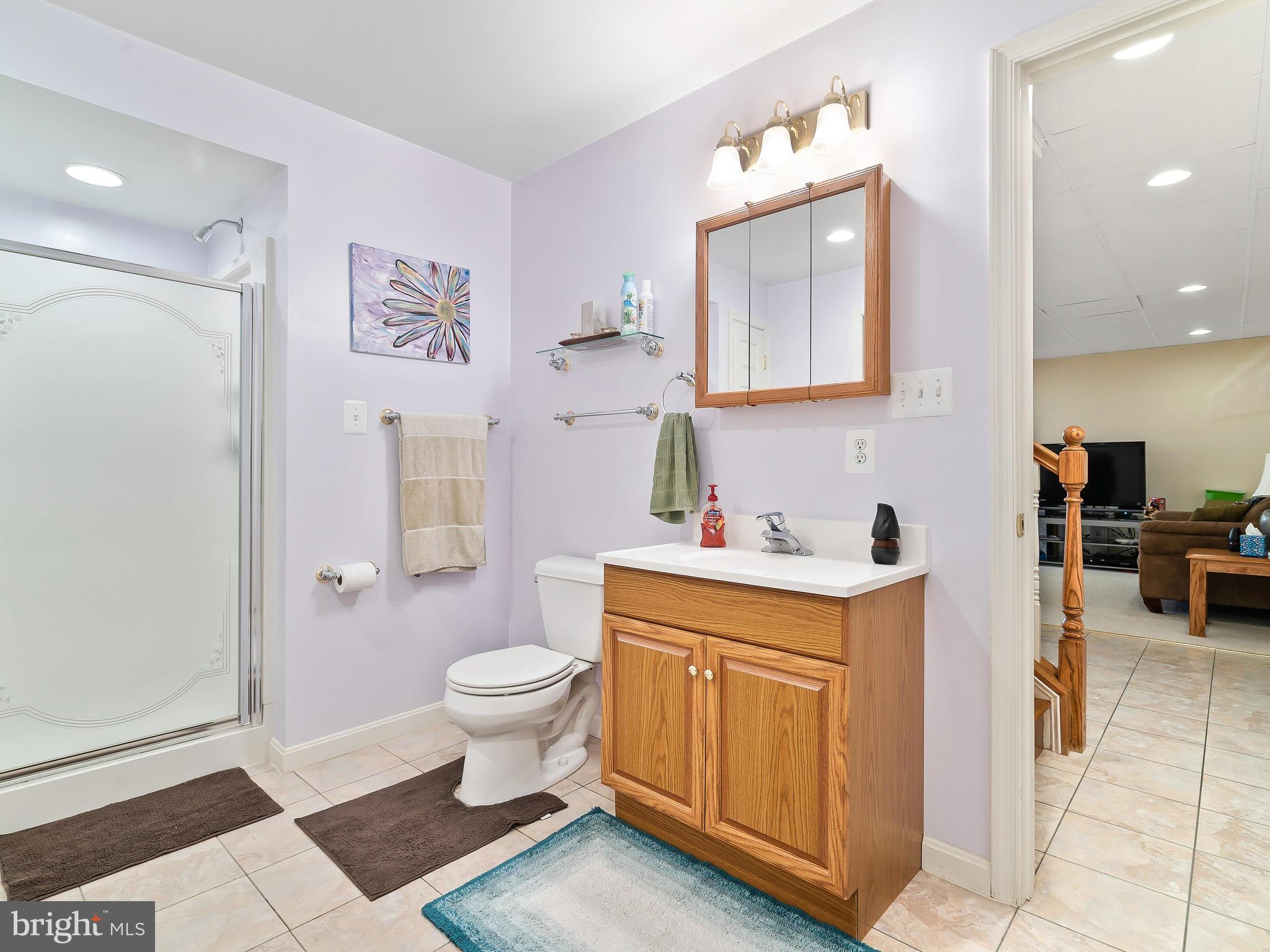 4820 Old Holter Road Jefferson, MD 21755 - Photo 31 of 34 Spa like bathroom