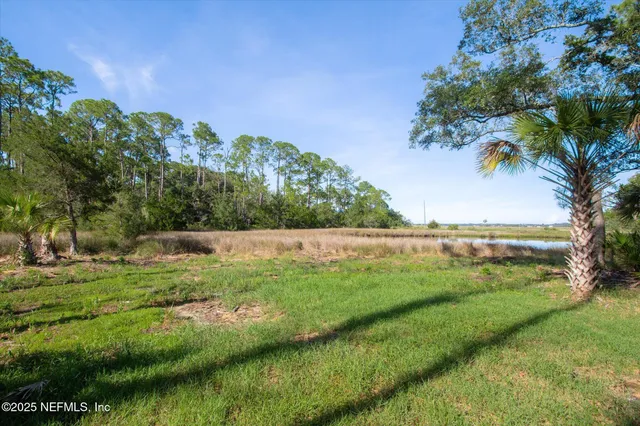 a view of a field with a forest