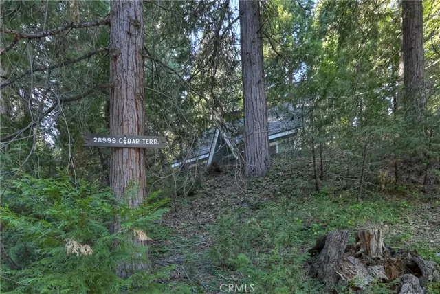 $339,000 | 28999 Cedar Terrace, Cedar Glen, CA 92321