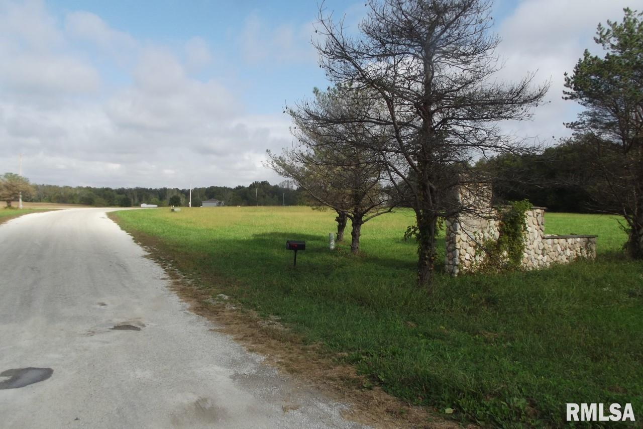 Lot 13 Buckhart Lake Estates Rochester, IL 62563 - Photo 2 of 2