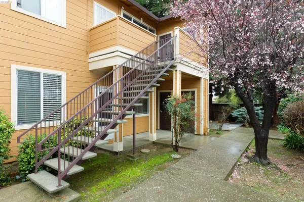 a view of a house with a small yard and plants