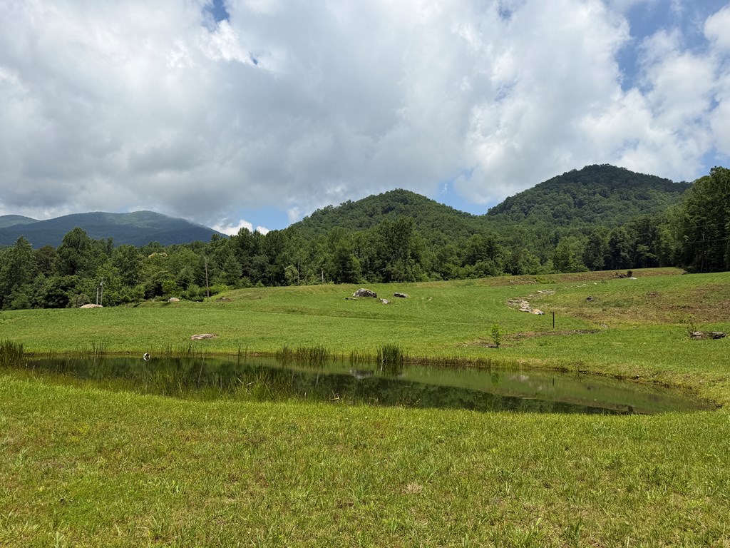 1446 Muskrat Creek Road Hayesville, NC 28904 - Photo 75 of 108