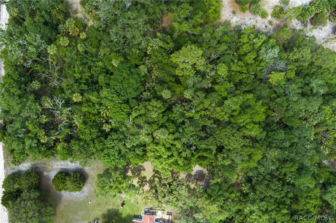 15085 West Rooster Crows Road Inglis, FL 34449 - Photo 13 of 16