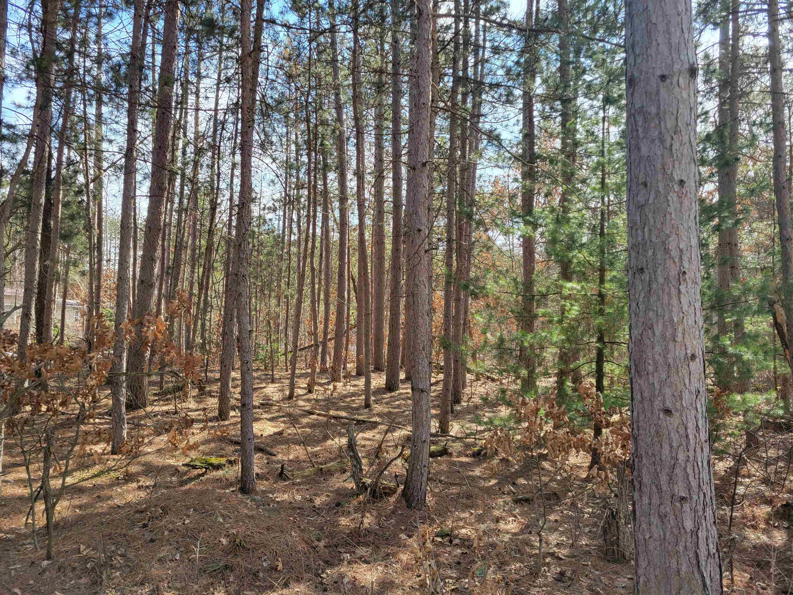 Lot 204 Raven New Lisbon Wi