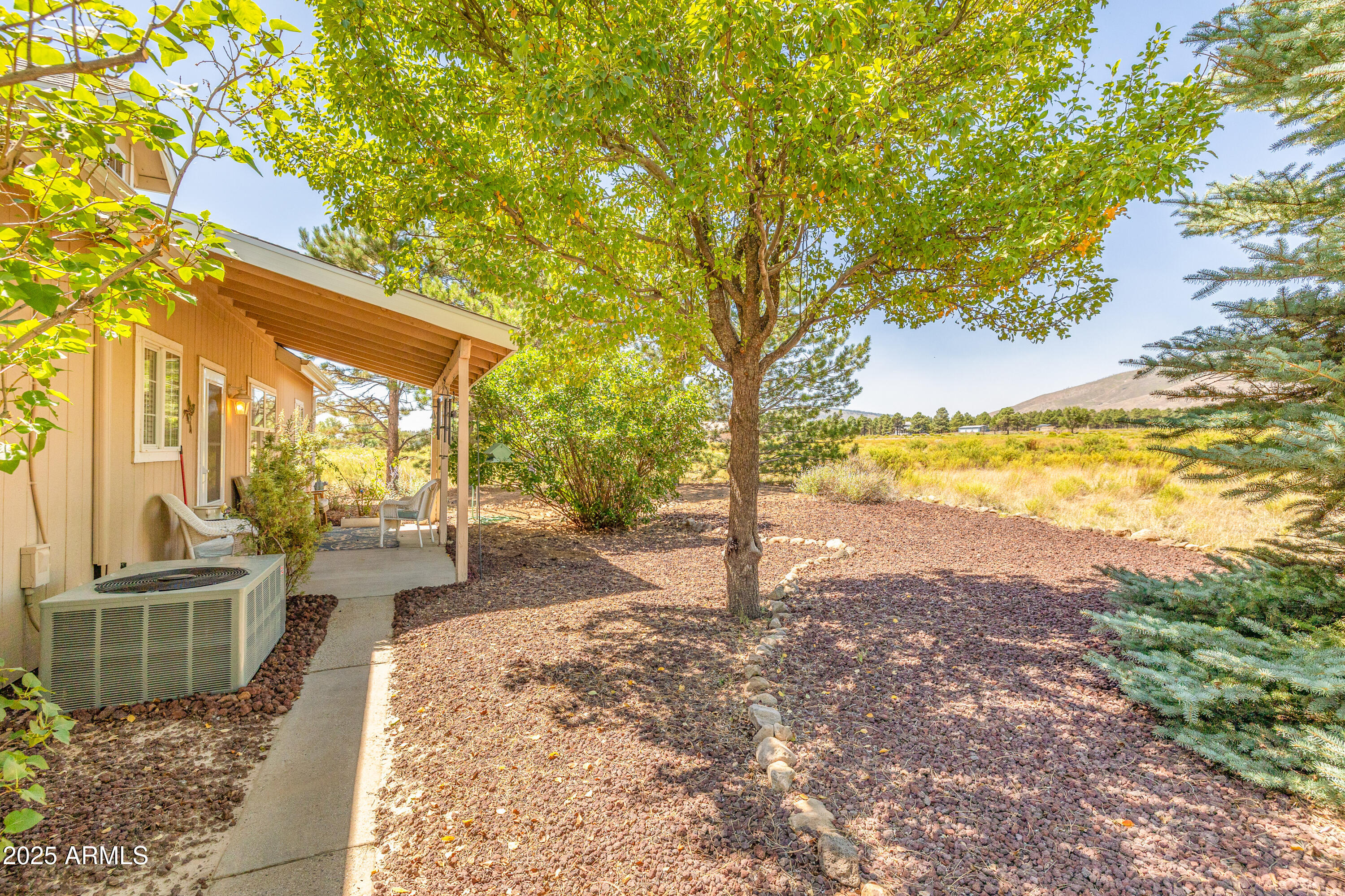 12870 Doyle Road Flagstaff, AZ 86004 - Photo 32 of 49 a view of a yard with plants and tree