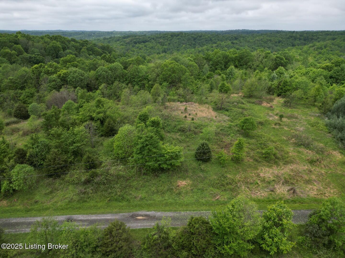 Lot 14 Duvall Road Caneyville, KY 42721 - Photo 1 of 8 L14
