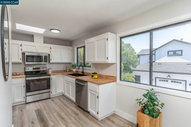 a kitchen with stainless steel appliances white cabinets a stove a sink and a potted plant