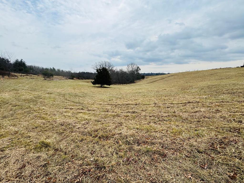 Tbd Pleasantview Road Austinville, VA 24312 - Photo 8 of 15 Gallery Image 8