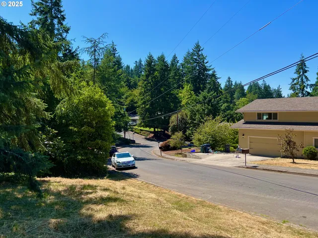 a park view with street view