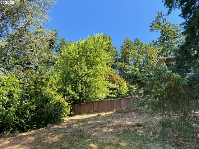 a view of a backyard with plants