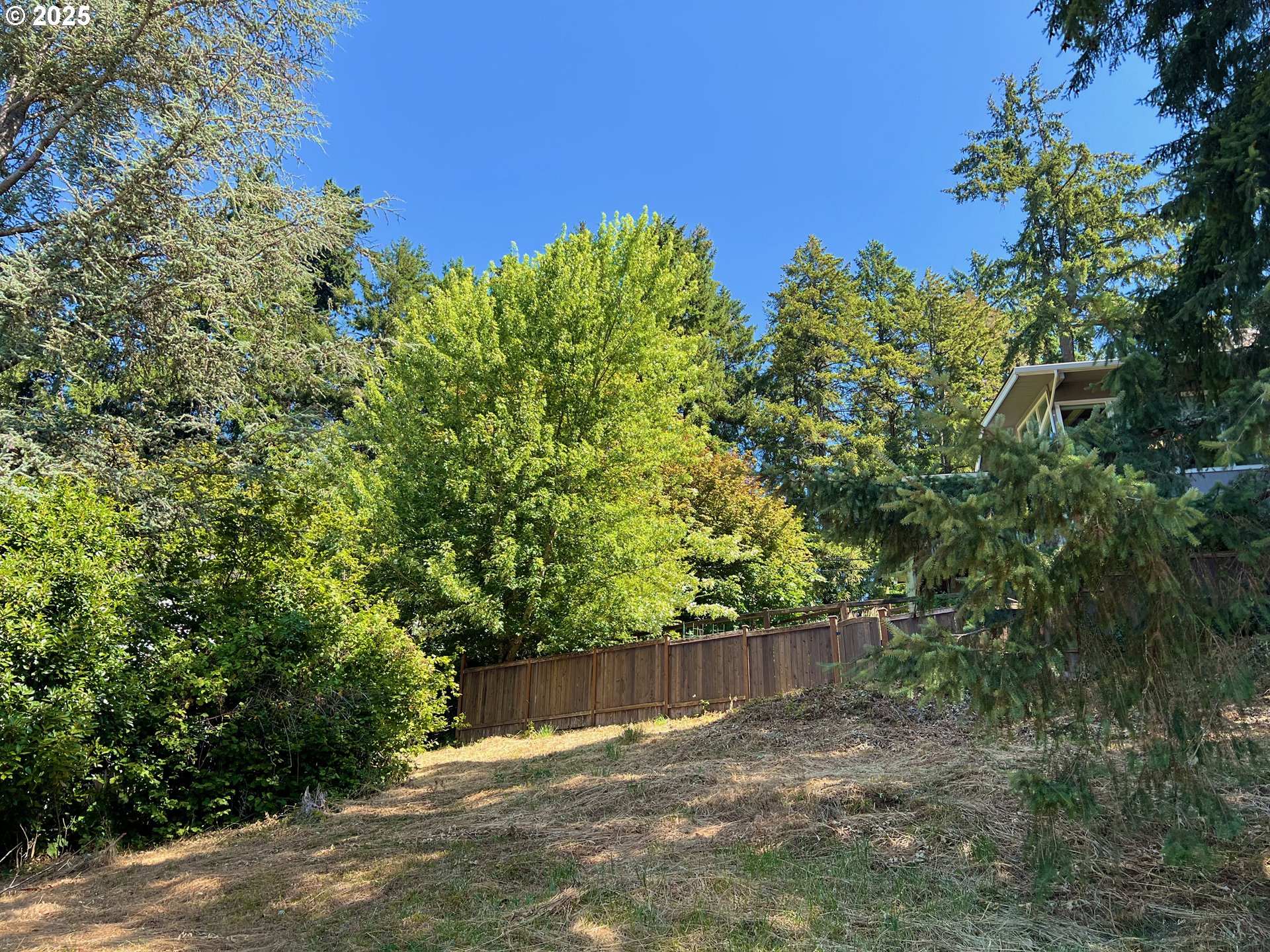 3046 Whitbeck Boulevard Eugene, OR 97405 - Photo 14 of 14 a view of a backyard with plants